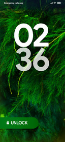 GREAN_DWM2