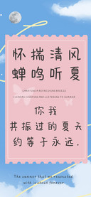 怀揣清风蝉鸣听夏