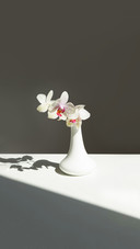 A white vase displays a white bouquet of flowers
