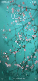清新·养眼多壁纸