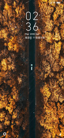 丛林