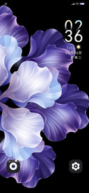 动画 繁花