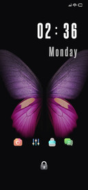 Dark Fly