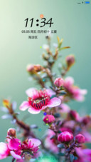 花开花落