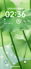 青荷