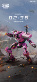 PUBGM Transformers