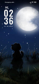 Night Kitten