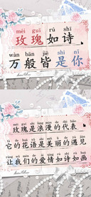 玫瑰如诗万般皆是你