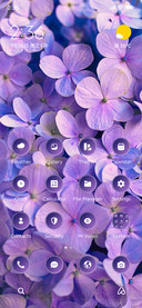 Petal