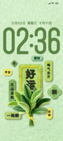 好运毛绒柚子叶