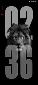 Black Lion King