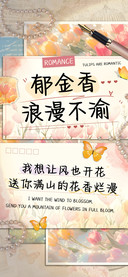 郁金香浪漫不渝
