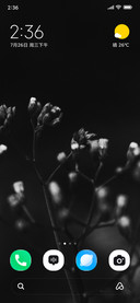Silent Buds