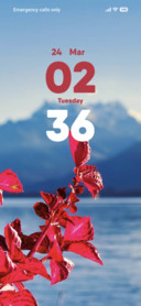 Swiss Lake