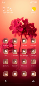 Flower