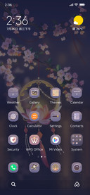Lanterns+flowers