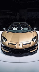 Cars B1 (6)