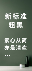新标准粗黑
