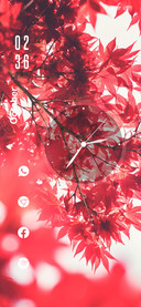 Maple Tree