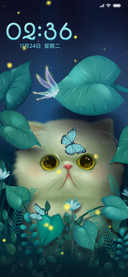 我的小猫咪