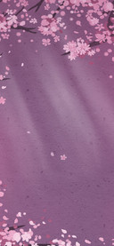 Demi之樱花朵朵