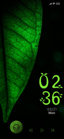 Amoled Leaf