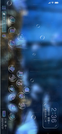 梦幻蝶
