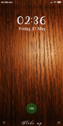 Grains_DWM19