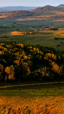 Bashang grassland