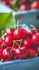 Fruit (9)