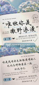 唯独你是撒野浪漫