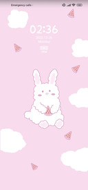 Watermelon rabbit