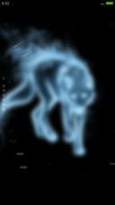 狼中之神（流星下雨4D动态）
