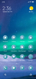 Palm Sky