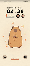 Week of cavy