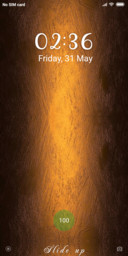 old_DWM19