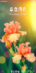 Spring_DWM19