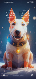 DogChristmas 2