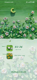 Wildflowers