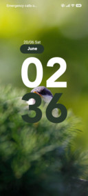 Green Bird