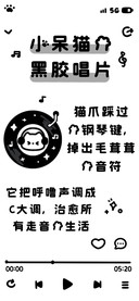 小呆猫的黑胶唱片
