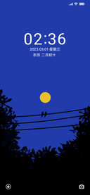 圆月树影