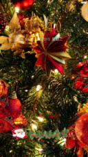 Merry Christmas 2015