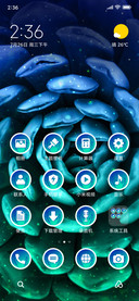 Succulent_3MDP