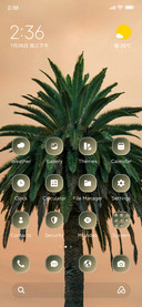 Tropical