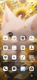 Sunflower and cat