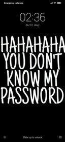 Hahaha NY