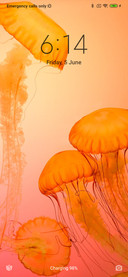 Official MIUI Theme_21