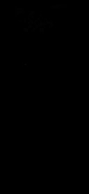 Glass Pro v11