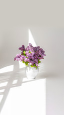 Branches of fresh purple lilac in white ceramic vase